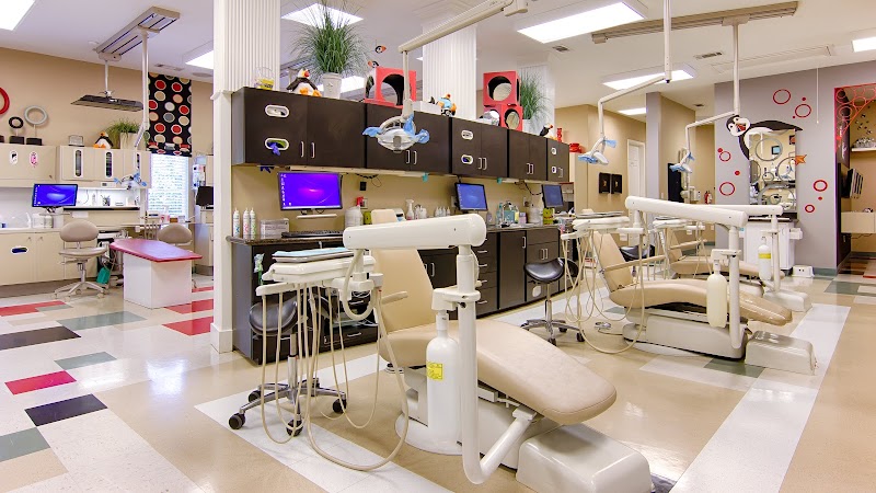 Bradley Scott Harris, DDS — pediatric dentist in Conroe