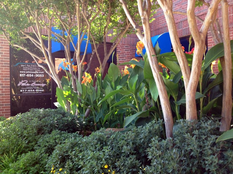 John Charles Paris, DDS — pediatric dentist in Arlington